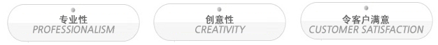 专业性 PROFESSIONALISM 创意性 CREATIVITY 令客户满意 CUSTOMER SATISFACTION