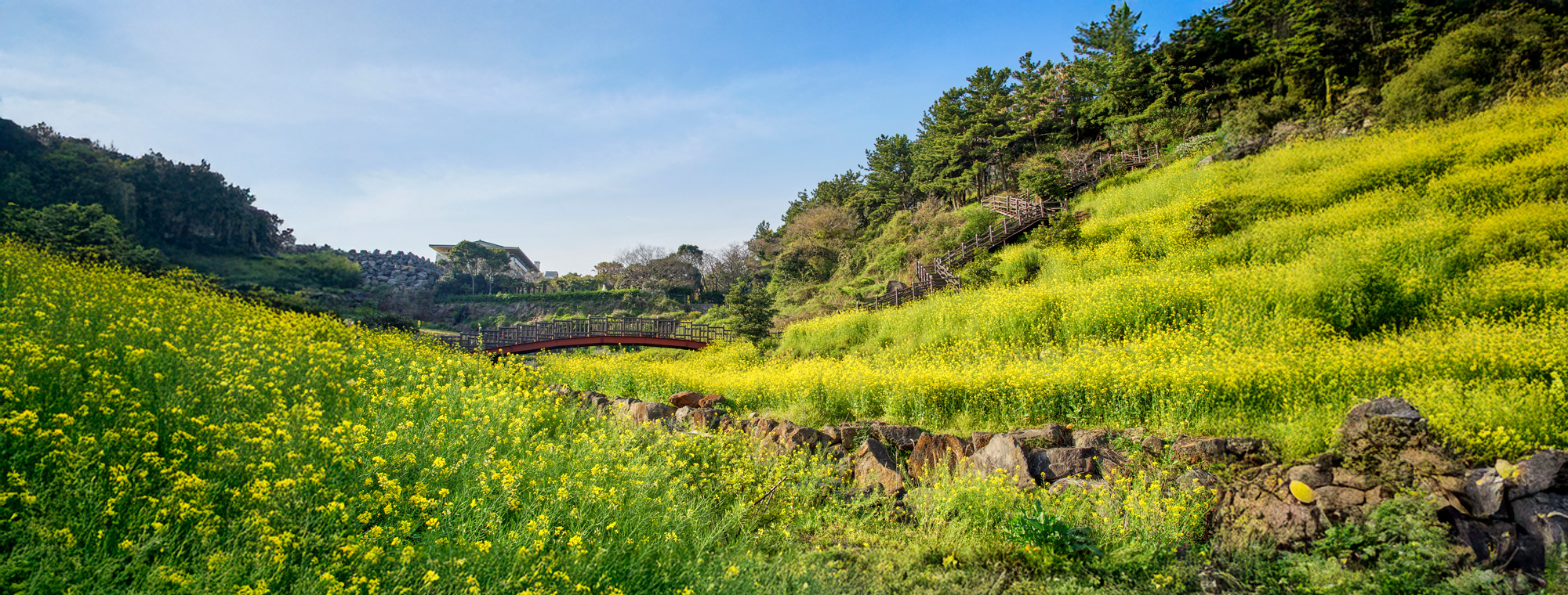 제주돌문화공원