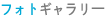 フォトギャラリー