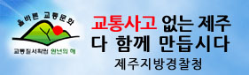 올바른 교통문화 교통질서확립 원년의 해 교통사고 없는 제주 다 함께 만듭시다 제주지방경찰청